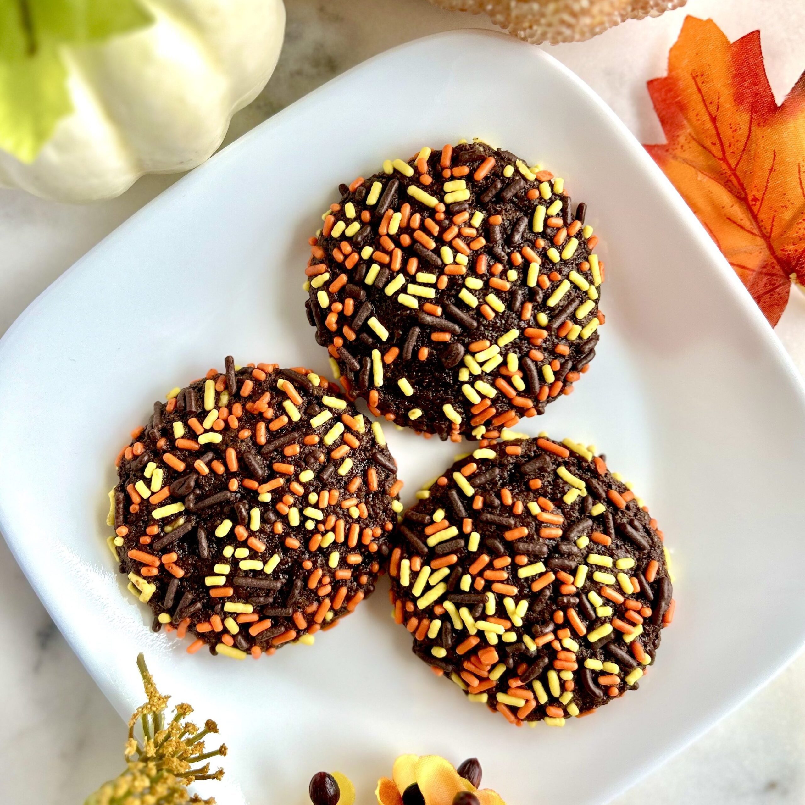 Chocolate Sprinkle Cookies