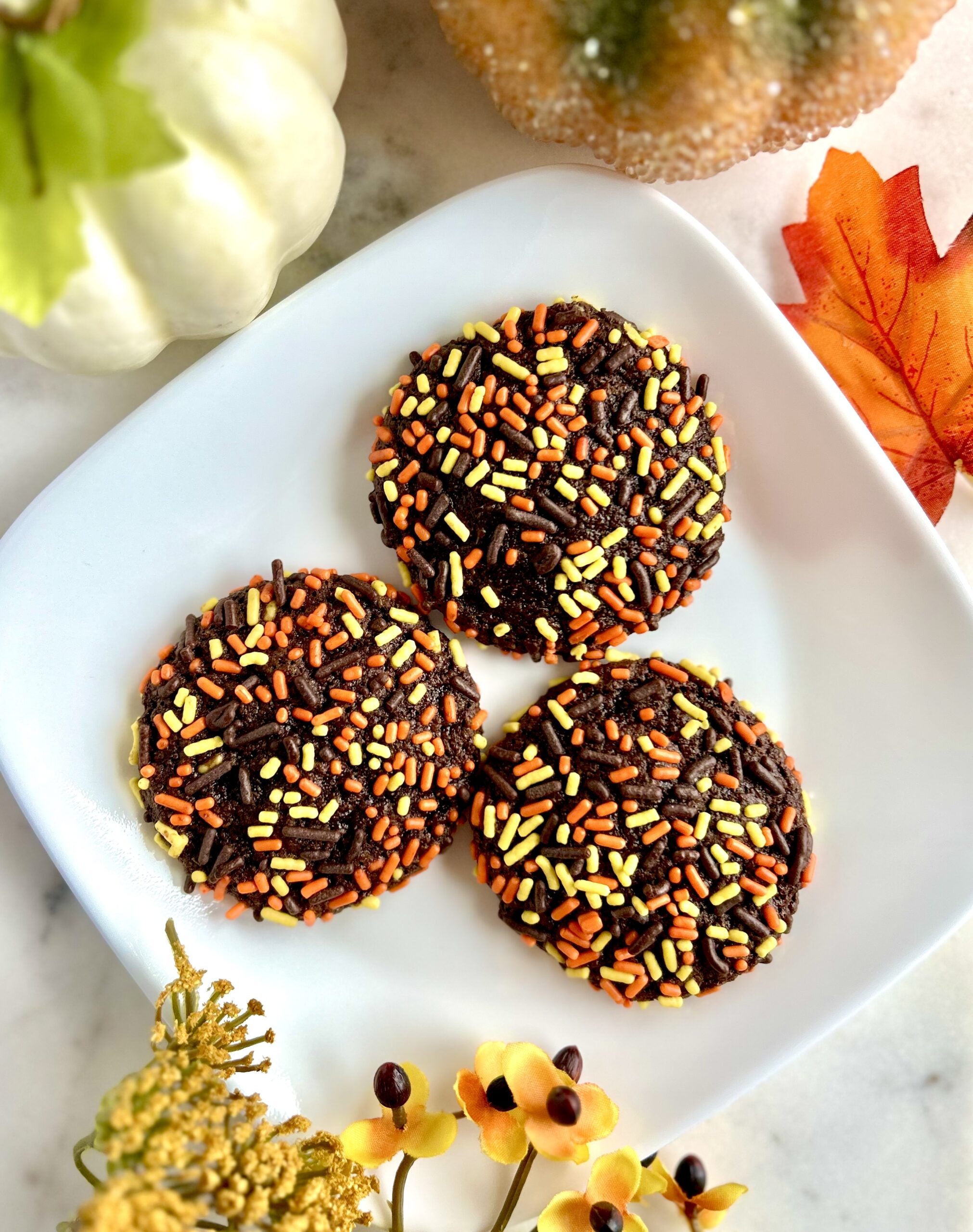 Chocolate Sprinkle Cookies with Fresh Milled Flour