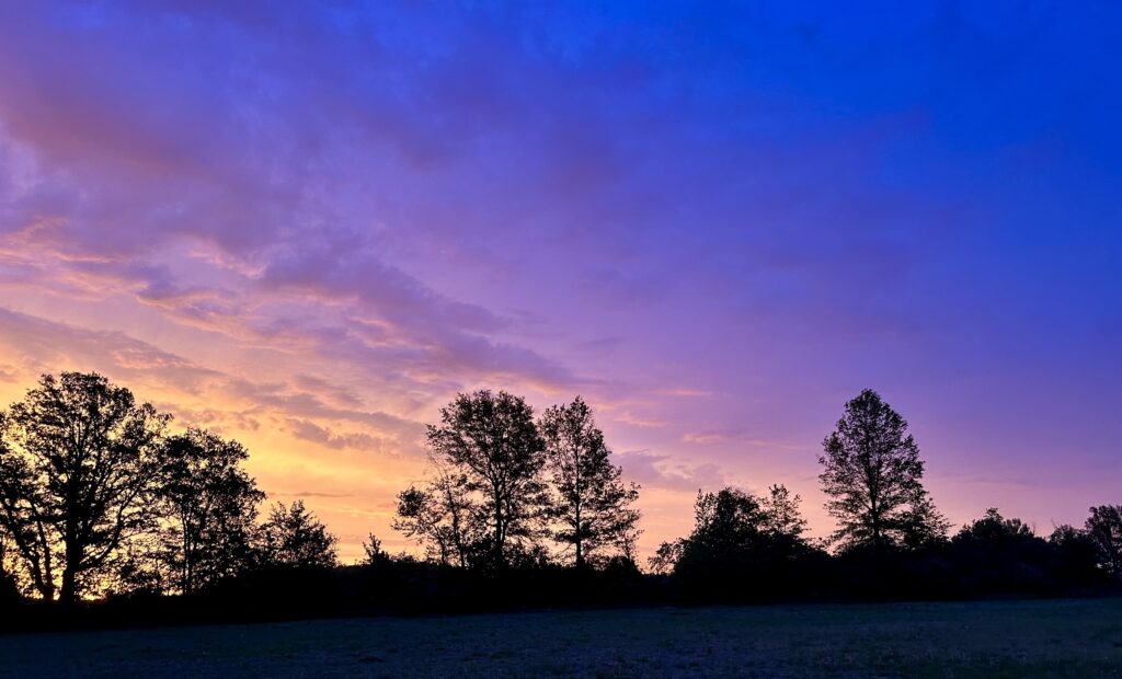 A lovely sunrise