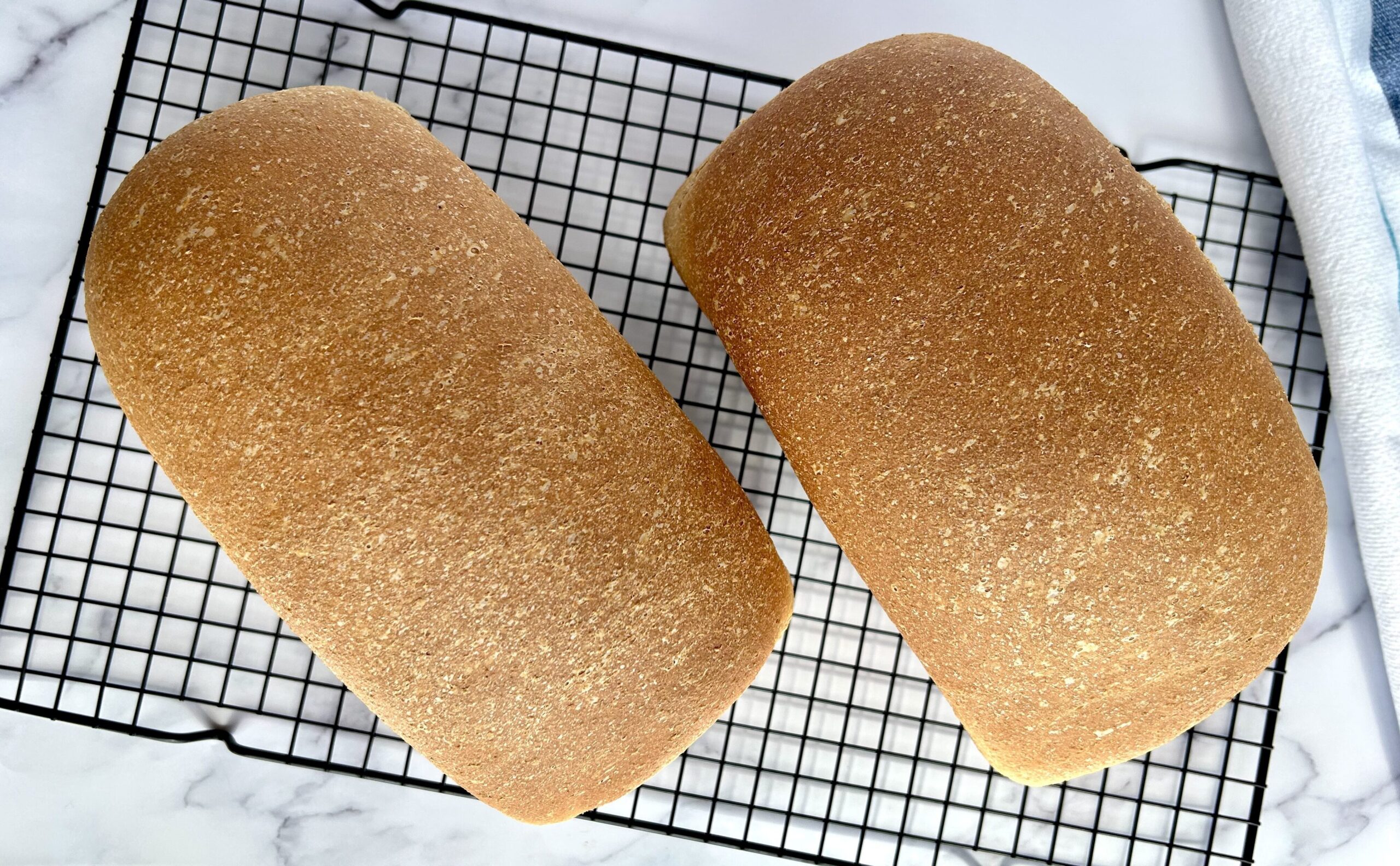 Perfect Sandwich bread loaves