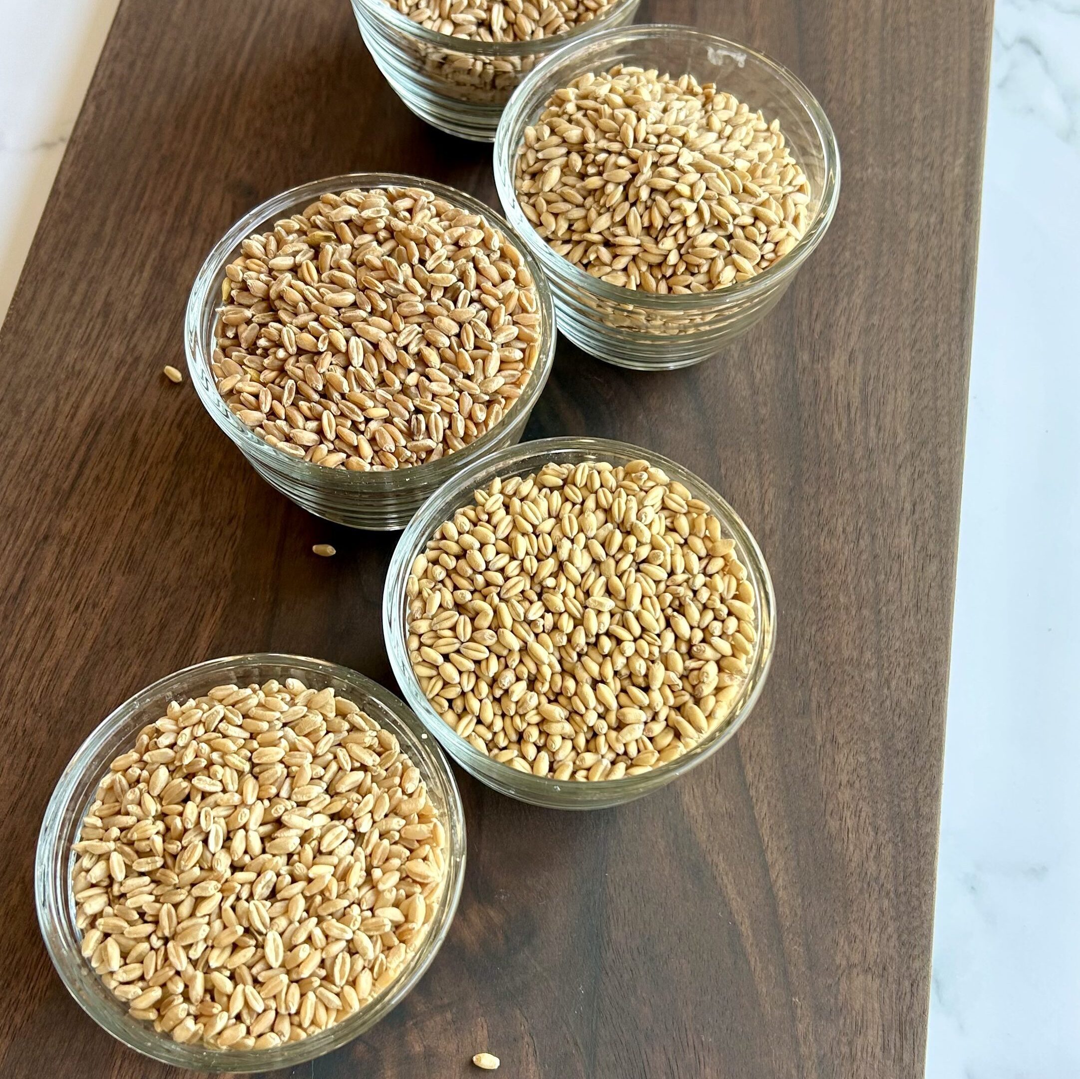 wheat berries