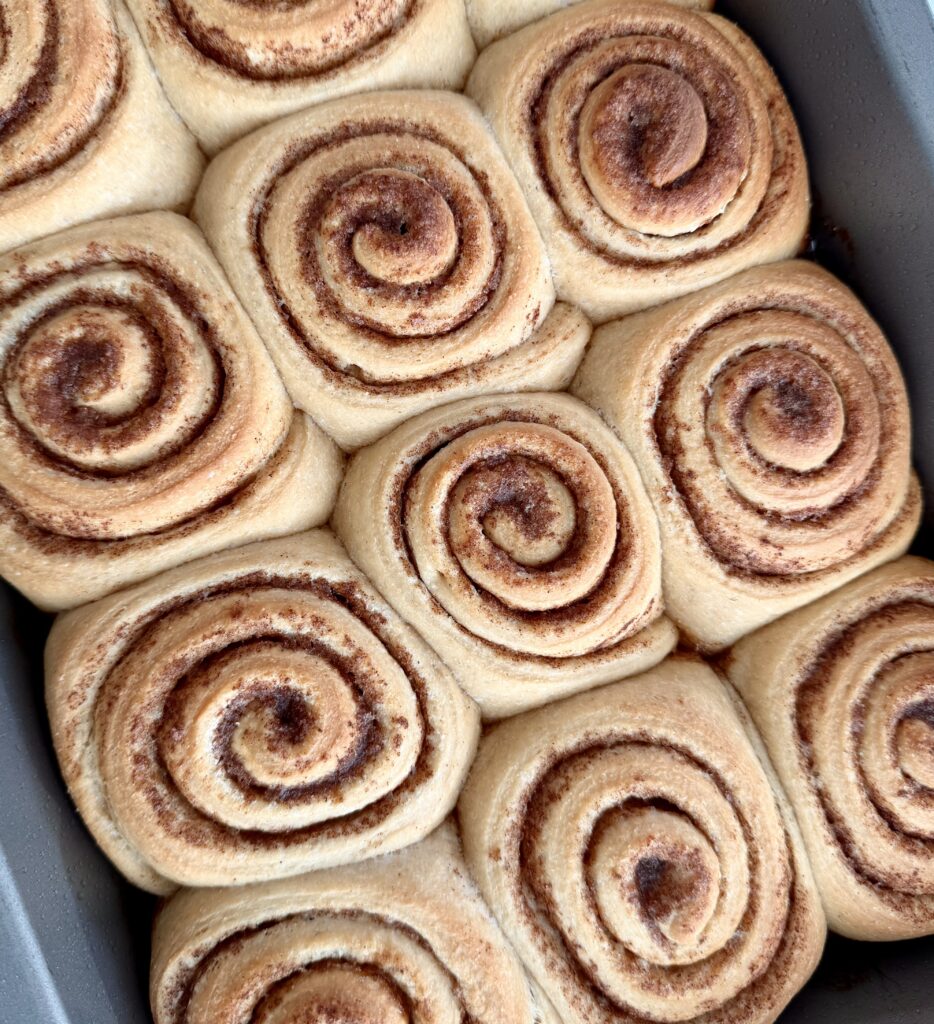 unfrosted baked cinnamon rolls
